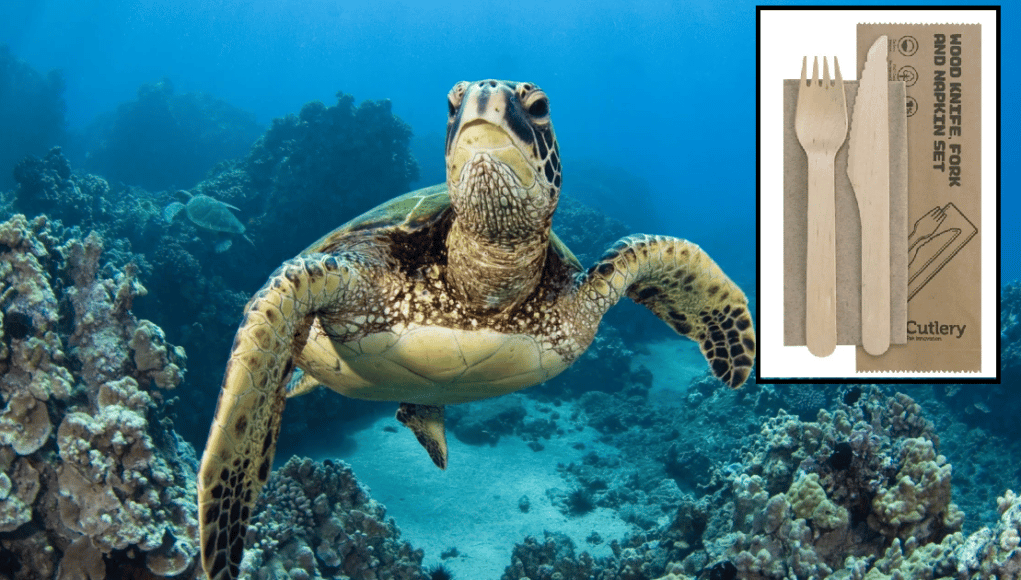 Sea Turtle Currently Choking On Plastic Feels For West Aussies ...